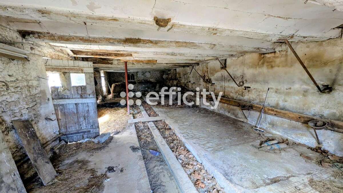 Maison de rapport - photo 15