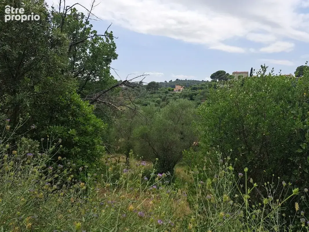 Terrain à bâtir de 3034 m² à GRASSE (06) - photo 6
