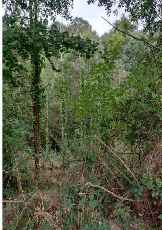 Terrain à SAINT-LAMBERT