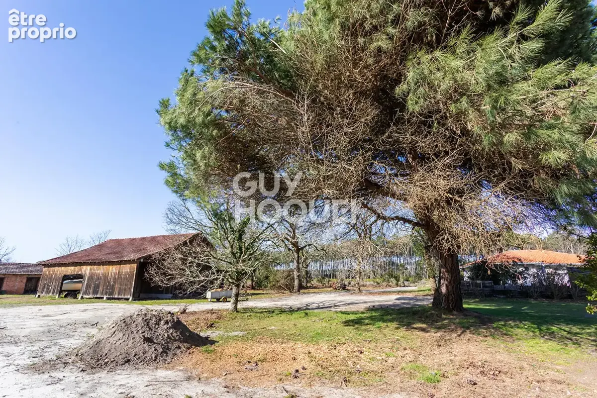 Terrain Biscarrosse 1259 m² - photo 2