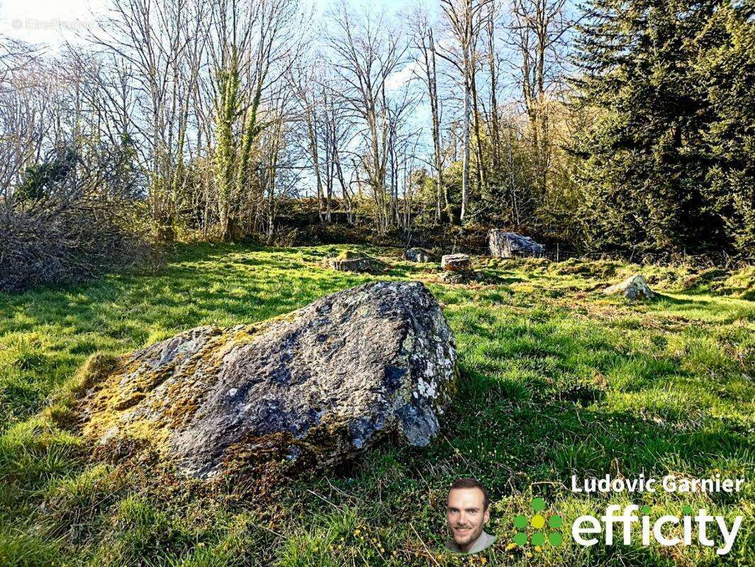 Maison à LE NEUFBOURG