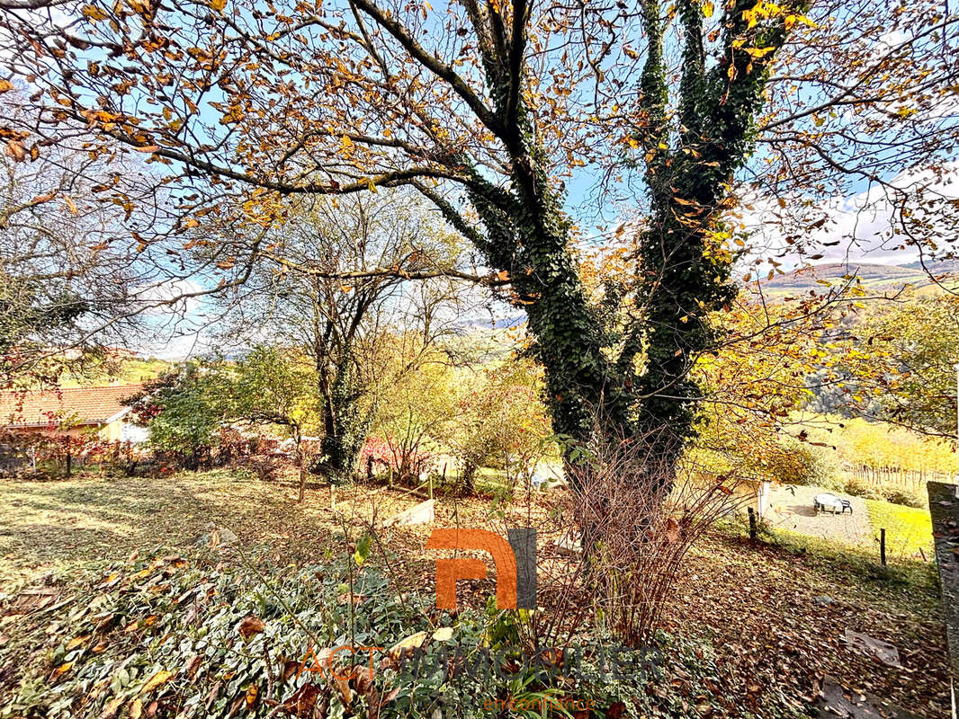Maison à BRUSSIEU