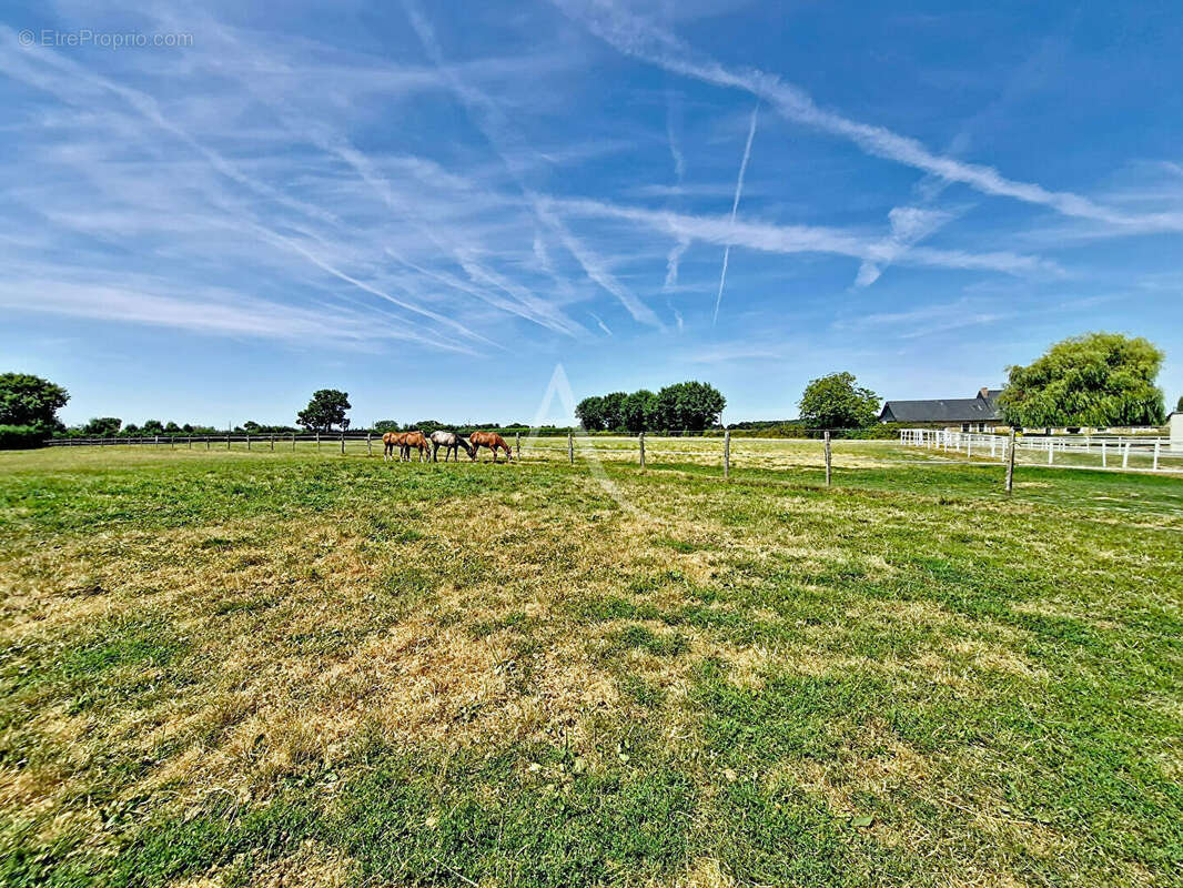Propriété de charme à saint martin du bois - photo 18