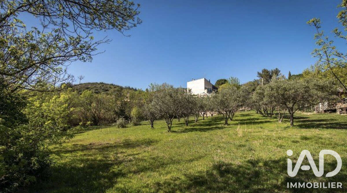 Terrain 2600 m² à Peret  - photo 3