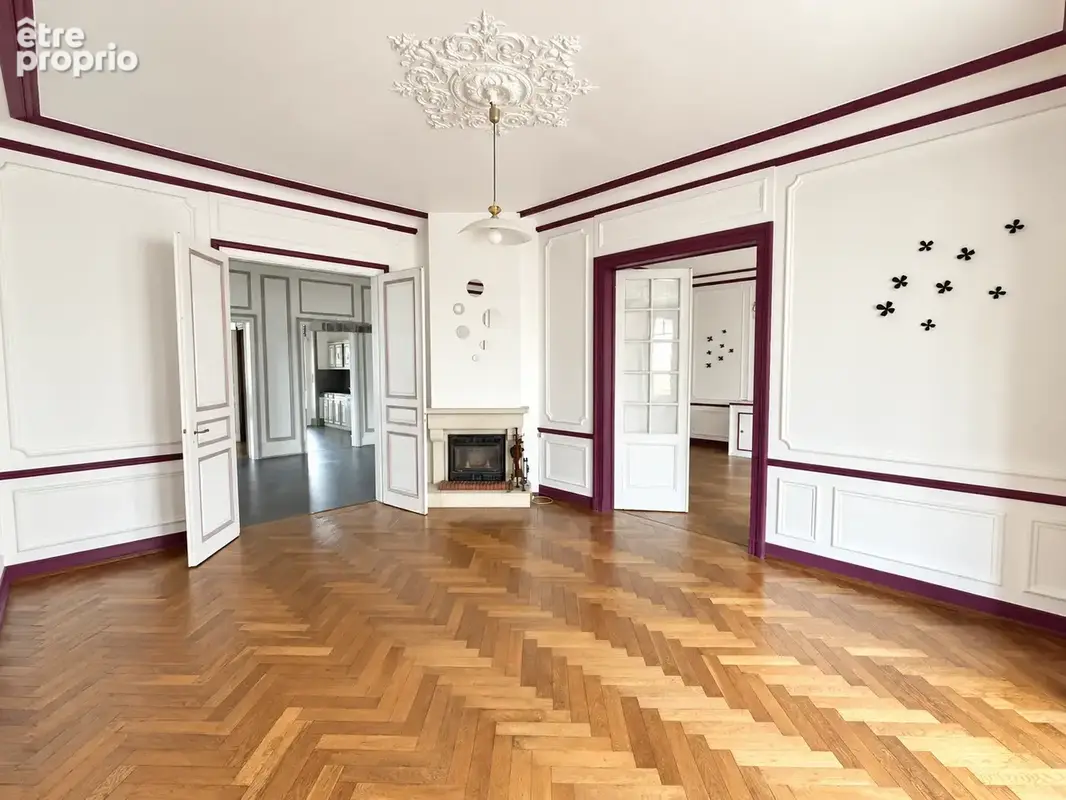 Mulhouse bas Rebberg Maison bourgeoise de 385 m2 sur 3 niveaux 12 pièces 9 chambres sur 5.10 ares de terrain. - photo 2