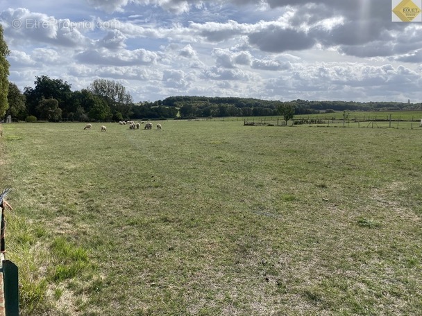 Terrain à COUSSAY-LES-BOIS