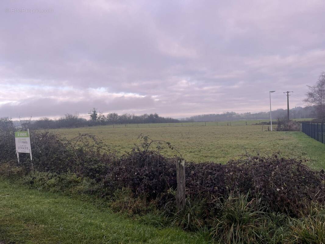 Terrain à MACEY