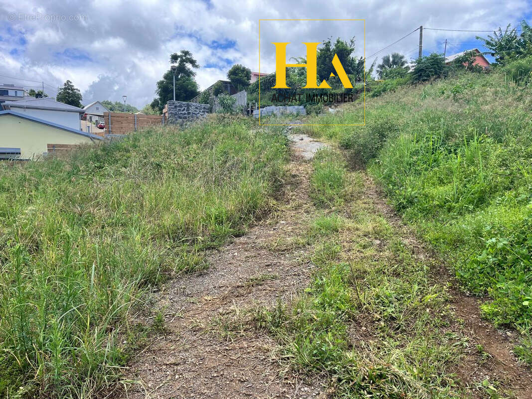 Terrain à SAINT-PAUL