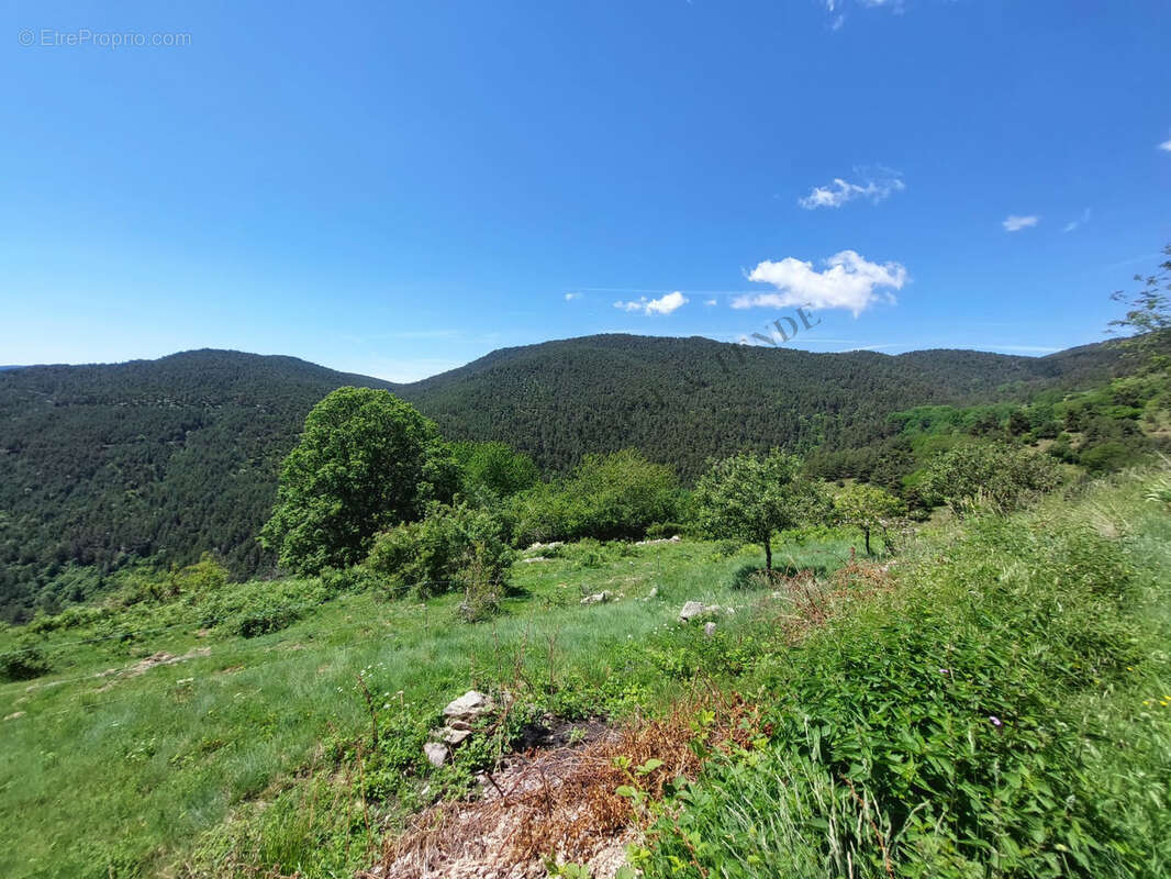 Vue panoramique - photo 30