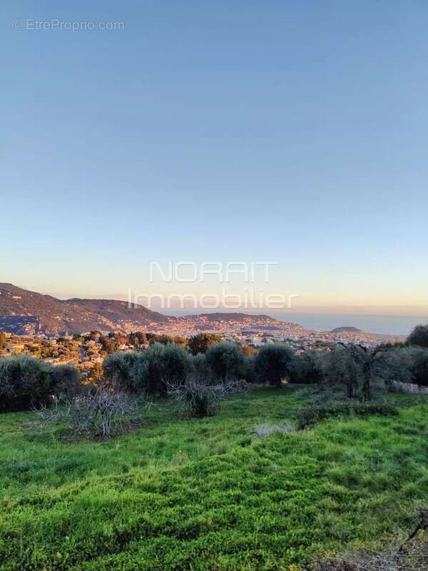 Terrain à NICE