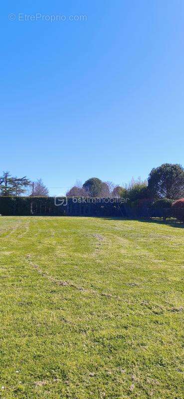 Terrain à VILLEMUR-SUR-TARN