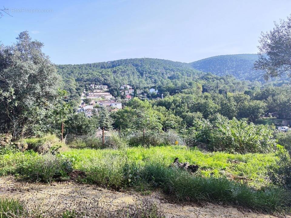 Terrain à SOLLIES-TOUCAS