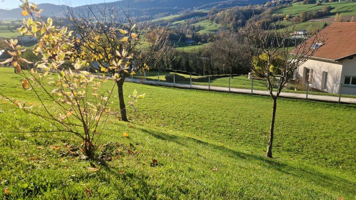 Terrain à RUMILLY