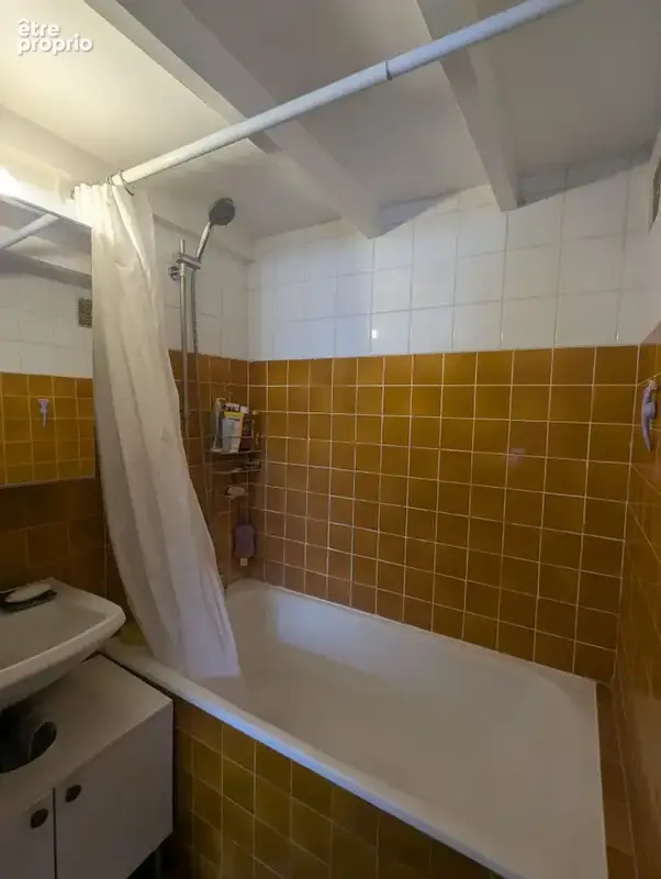 Appartement Paris 1 pièce(s) 23.09 m2 - photo 6