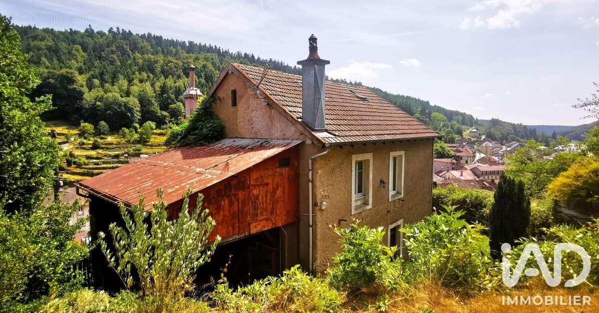 Maison 96 m² à Plombieres-Les-Bains  - photo 3