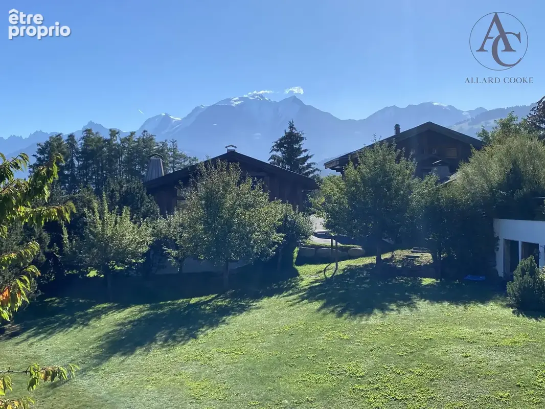 LE MONT-BLANC ET SA CHAINE / MONT-BLANC RANGE