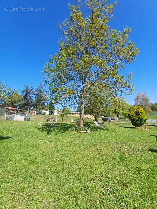Maison à AUBUSSON-D'AUVERGNE