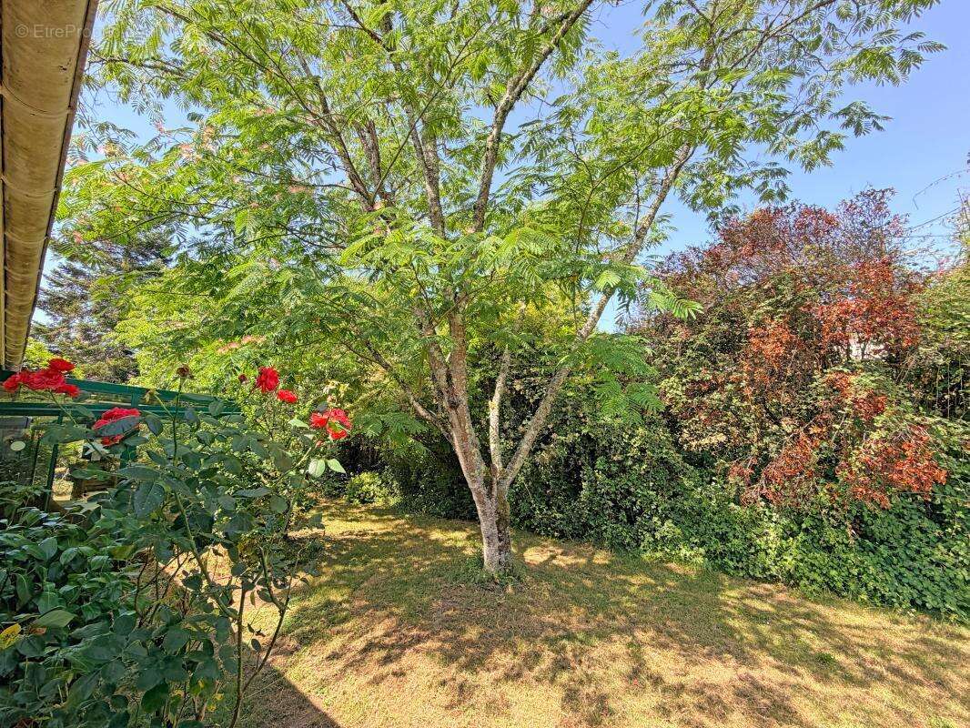 Maison au calme avec piscine - photo 21