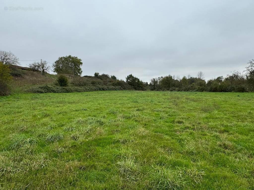 Photo 1 - Terrain à TOSSIAT