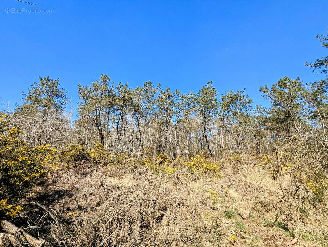 Terrain à CAMPENEAC