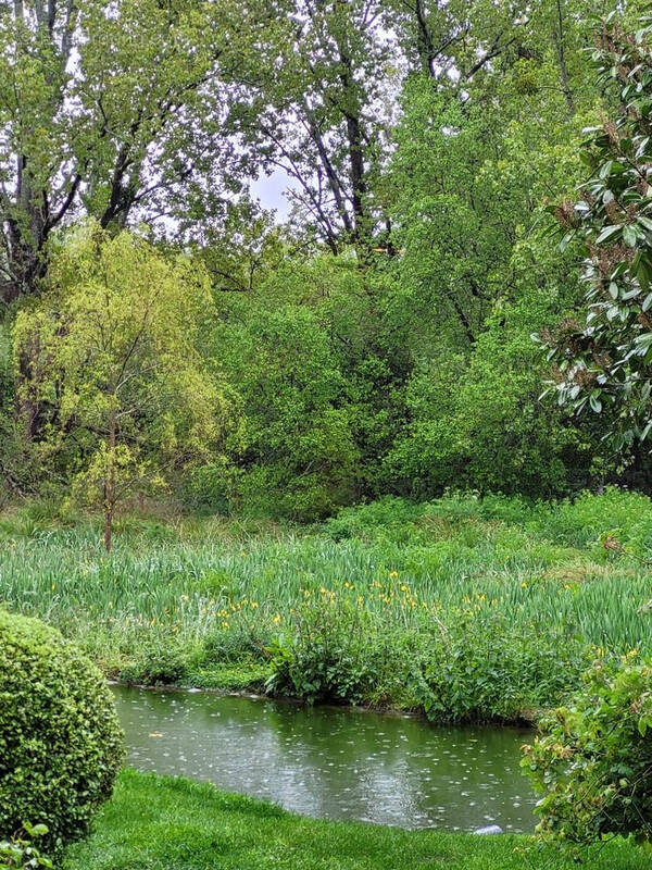 Maison à CLOHARS-CARNOET