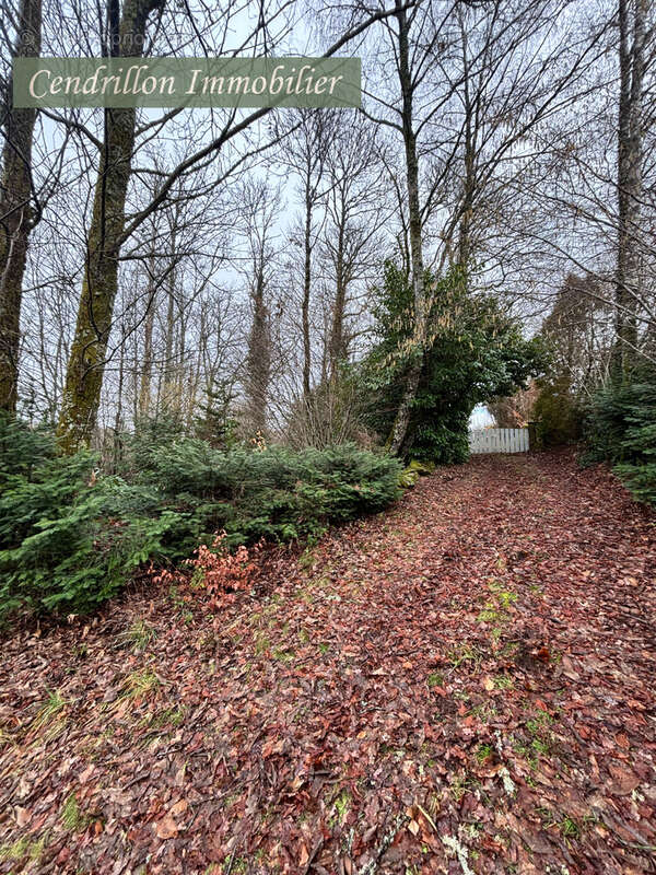 Maison à SAINT-MARTIN-CHATEAU