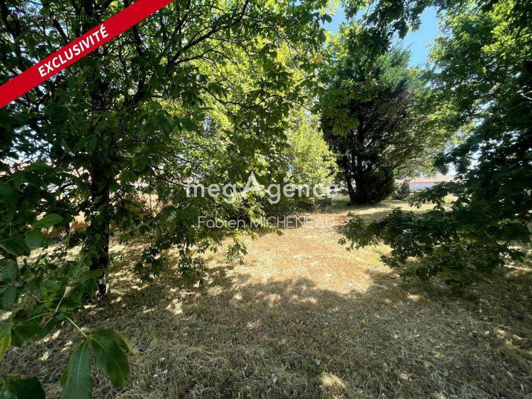 Terrain à SAINT-LEGER-SOUS-CHOLET