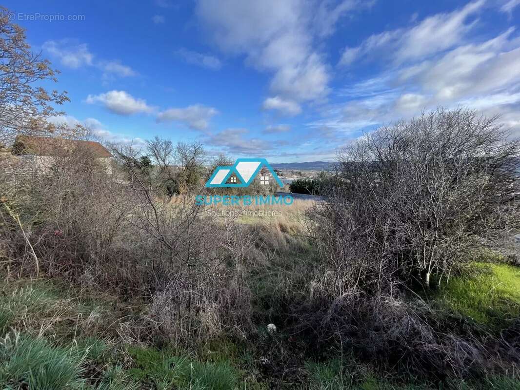 Terrain à BRIOUDE