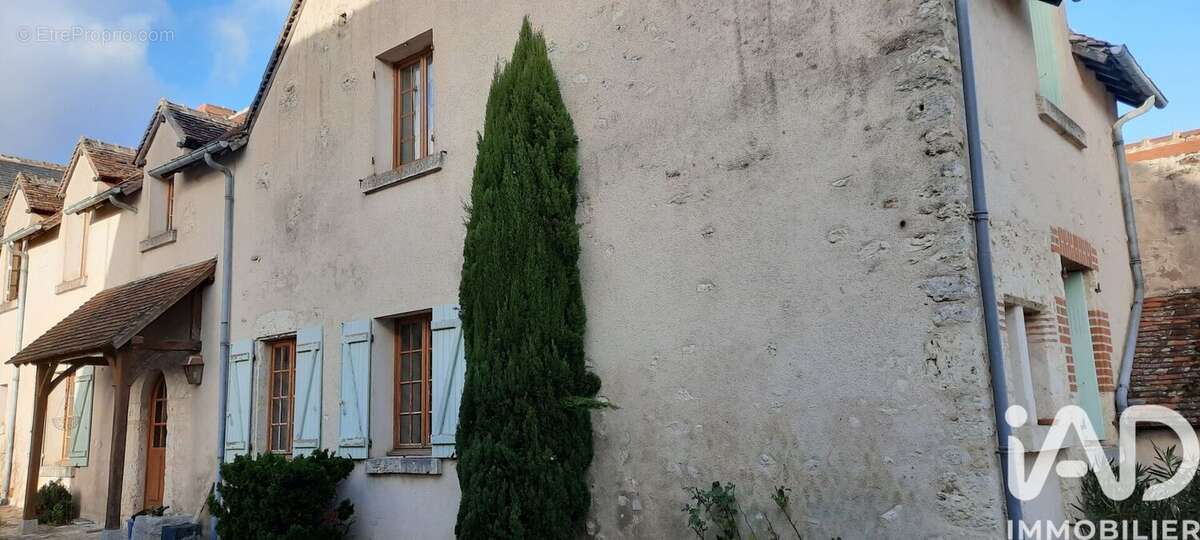 Photo 5 - Maison à SAINT-DENIS-SUR-LOIRE