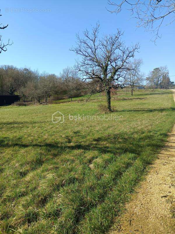 Grand terrain à bâtir de 4 689 m² à Tourtoirac - photo 4