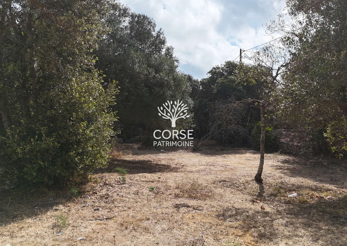 BIEN TRES RARE !!! Terrain constructible à BONIFACIO - photo 2