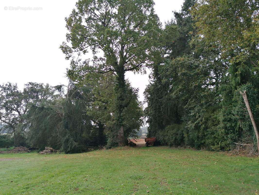 Maison à SAINT-SERVANT