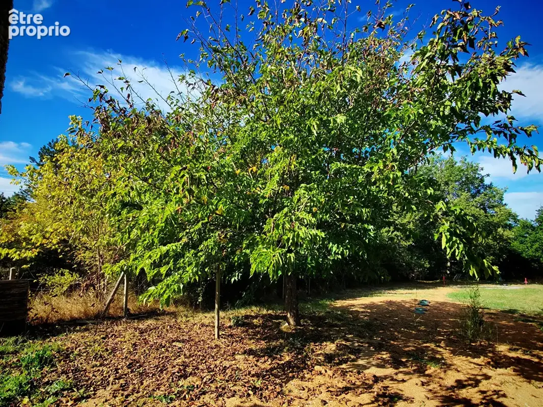 Maison de plain-pied T4 sur 1,09 hectares - photo 7