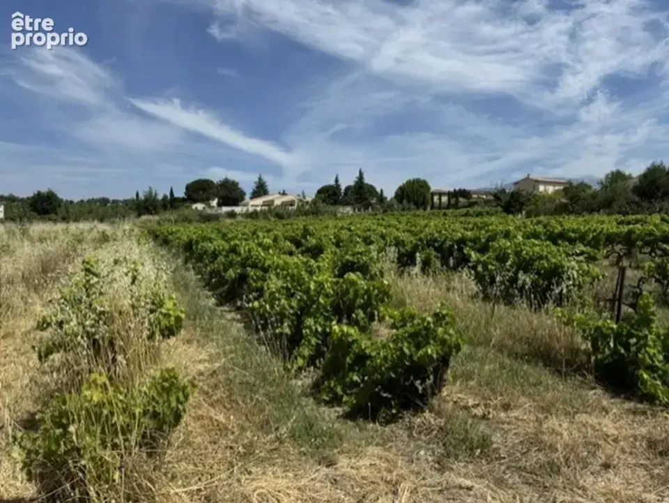 Terrain à MAZAN