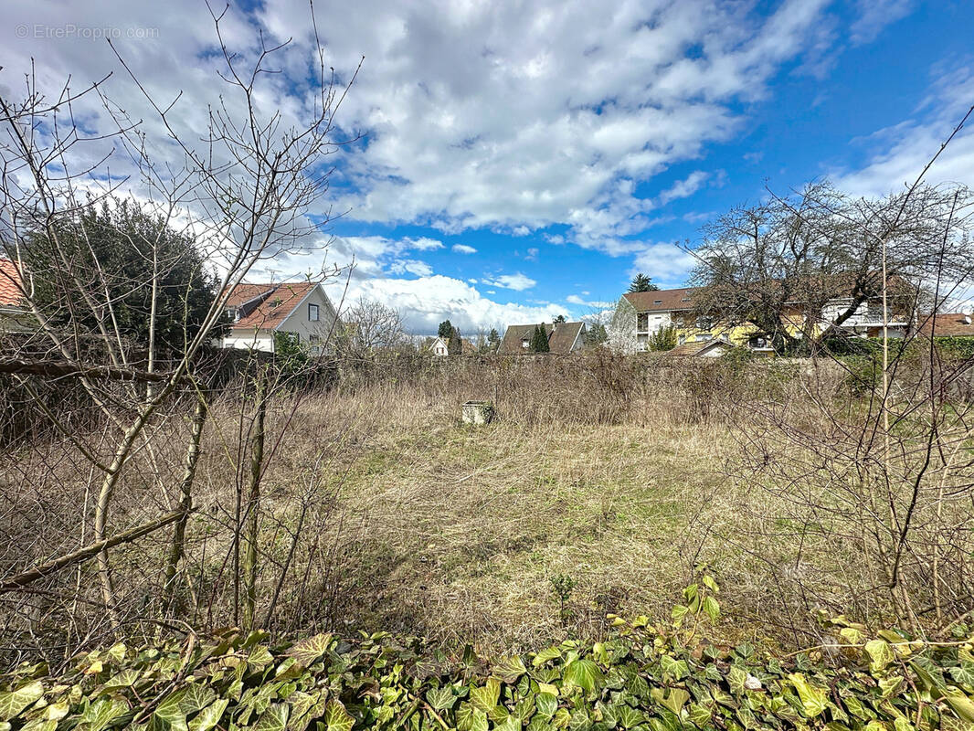 Terrain à LA BATIE-DIVISIN