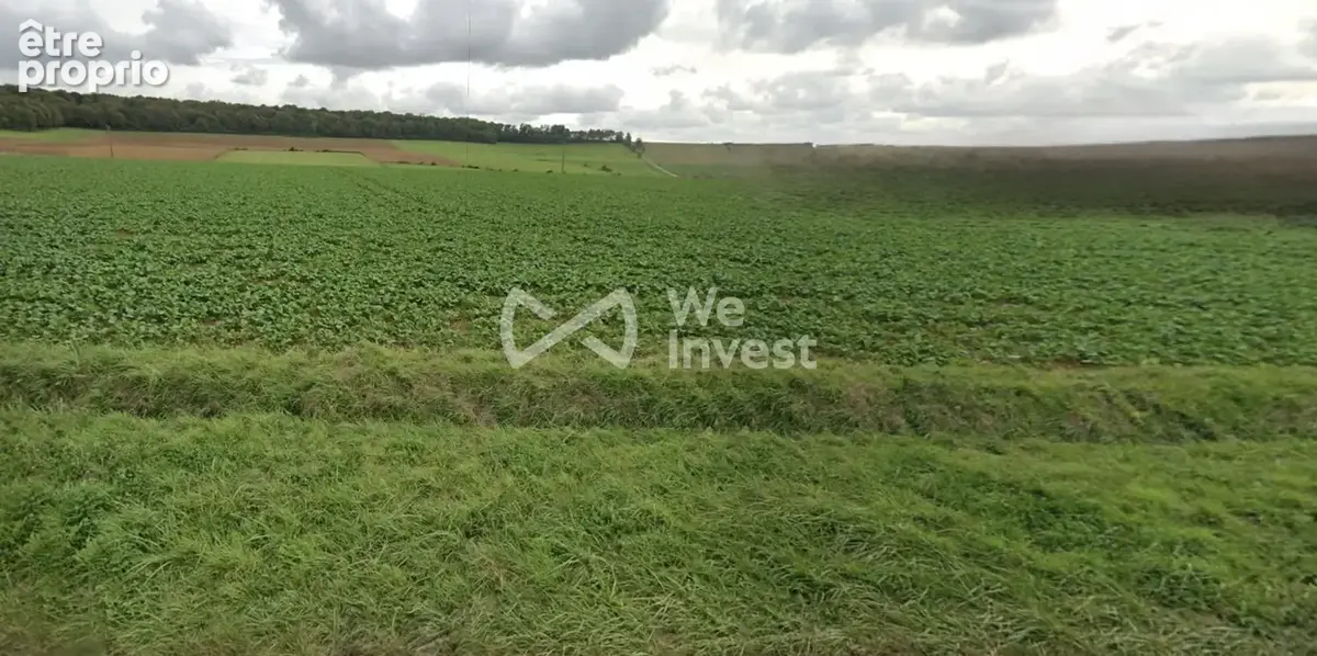 Terrain 1 121 m² à vendre à Doncourt-Les-Longuyon (54620) - photo 4