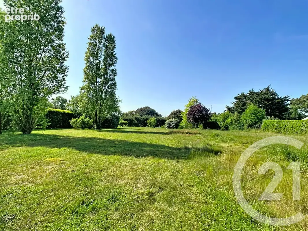 Terrain 1 173 m² à vendre à Les Moutiers-En-Retz (44760) - photo 6