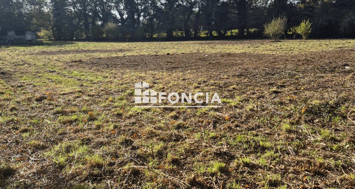 Terrain à NOYAL-CHATILLON-SUR-SEICHE