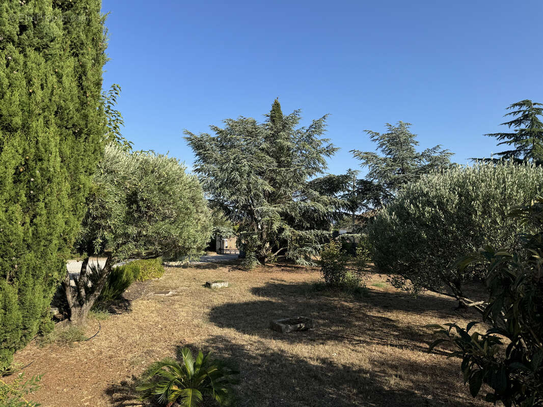 Maison à SAINT-ANDRE-DE-SANGONIS