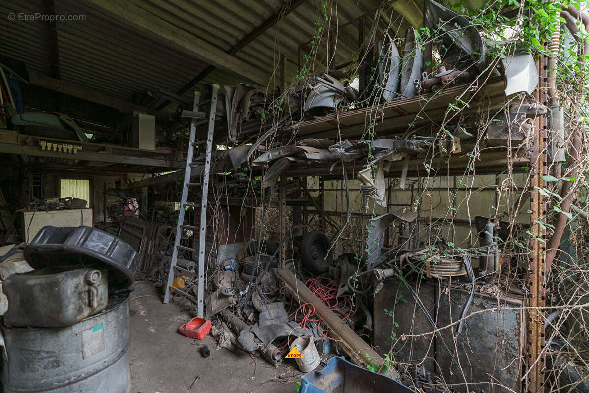Commerce à CARCASSONNE