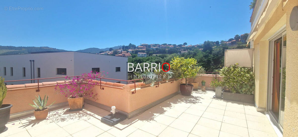 Appartement à COLLIOURE