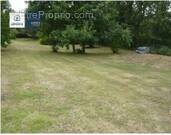 Terrain à VILLERS-COTTERETS