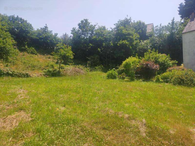 Terrain à PONT-L'ABBE