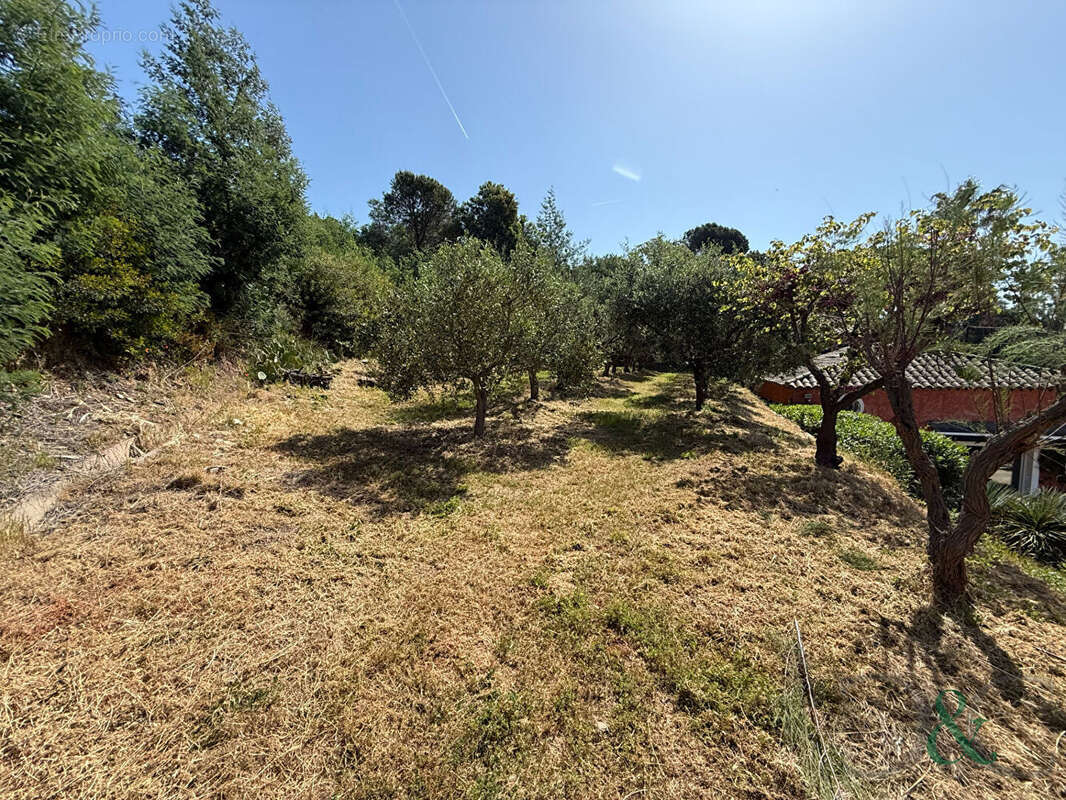 Maison à BORMES-LES-MIMOSAS