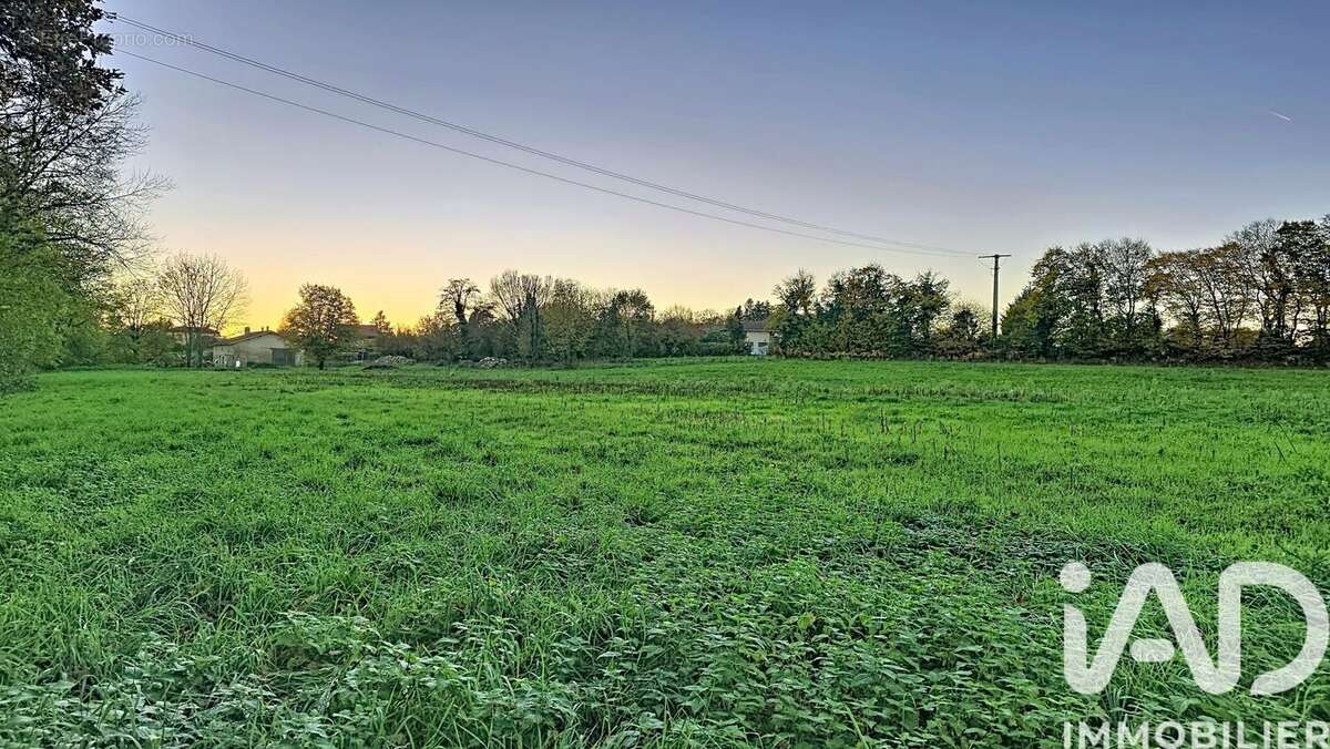 Photo 9 - Terrain à MONTAGNAT