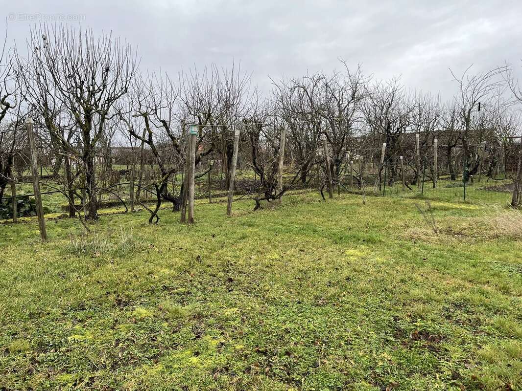 Maison à LATHUS-SAINT-REMY