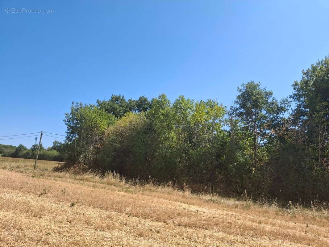 A vendre - Roybon (38940) – 3 parcelles de terrain agricole - photo 3