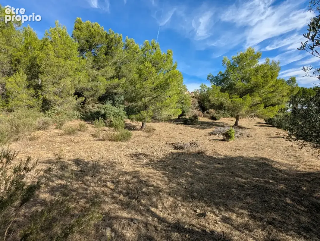 Villa d'architecte avec piscine, magnifiques vues dégagées et grand terrain - photo 21