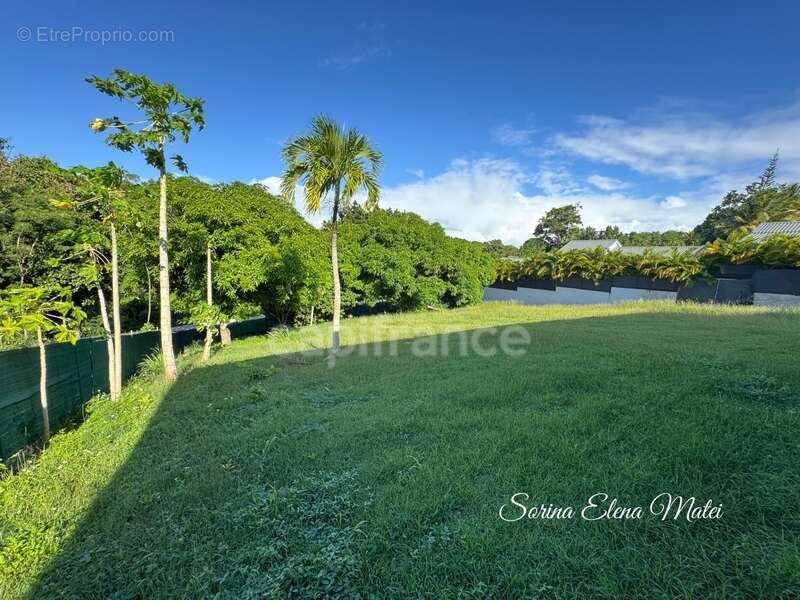 Maison à SAINTE-ANNE
