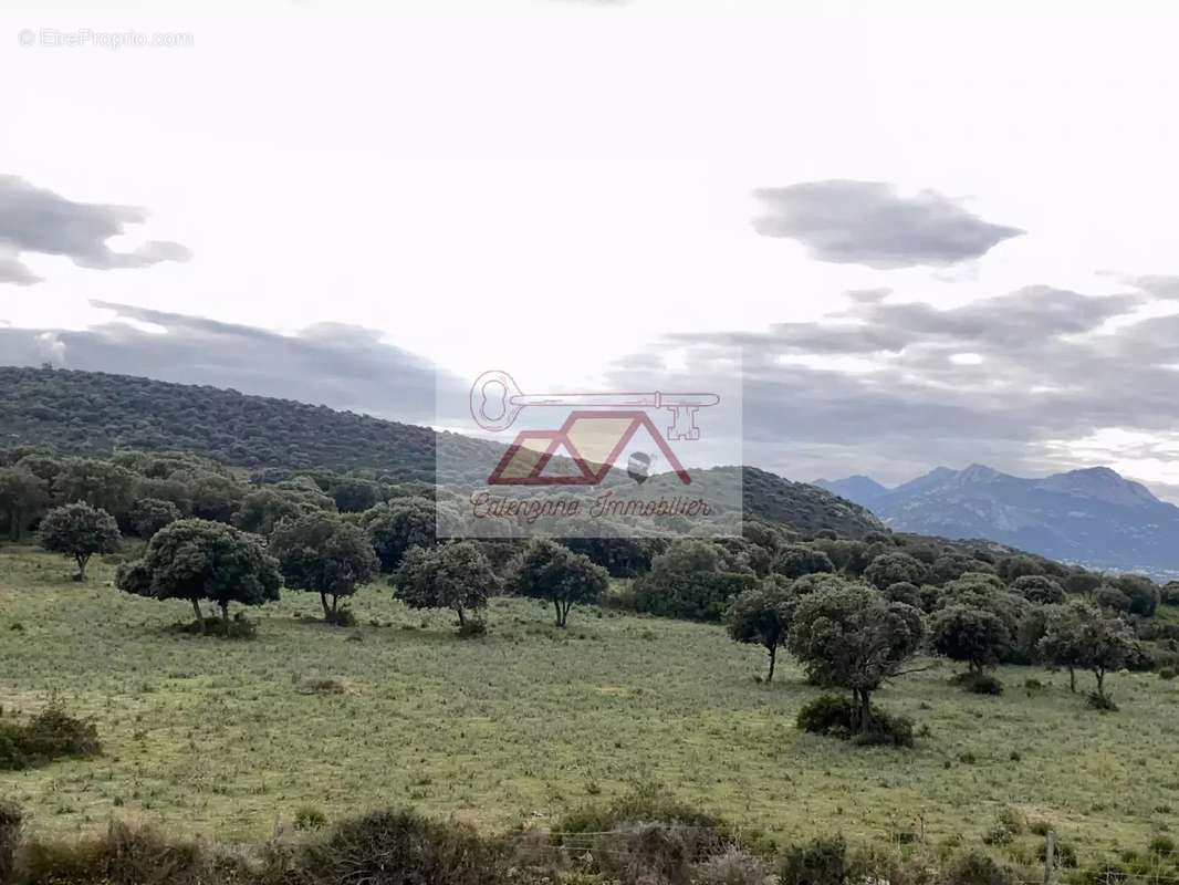 Appartement à LUMIO